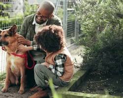 Person caring for a rescued animal
